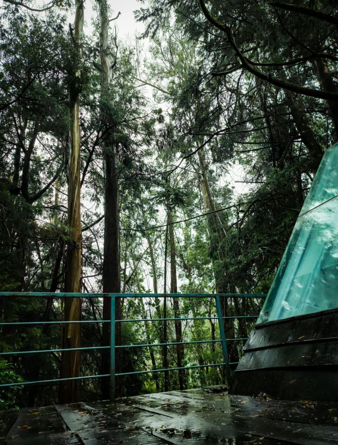 ホテル Woodhouse ウーティ エクステリア 写真