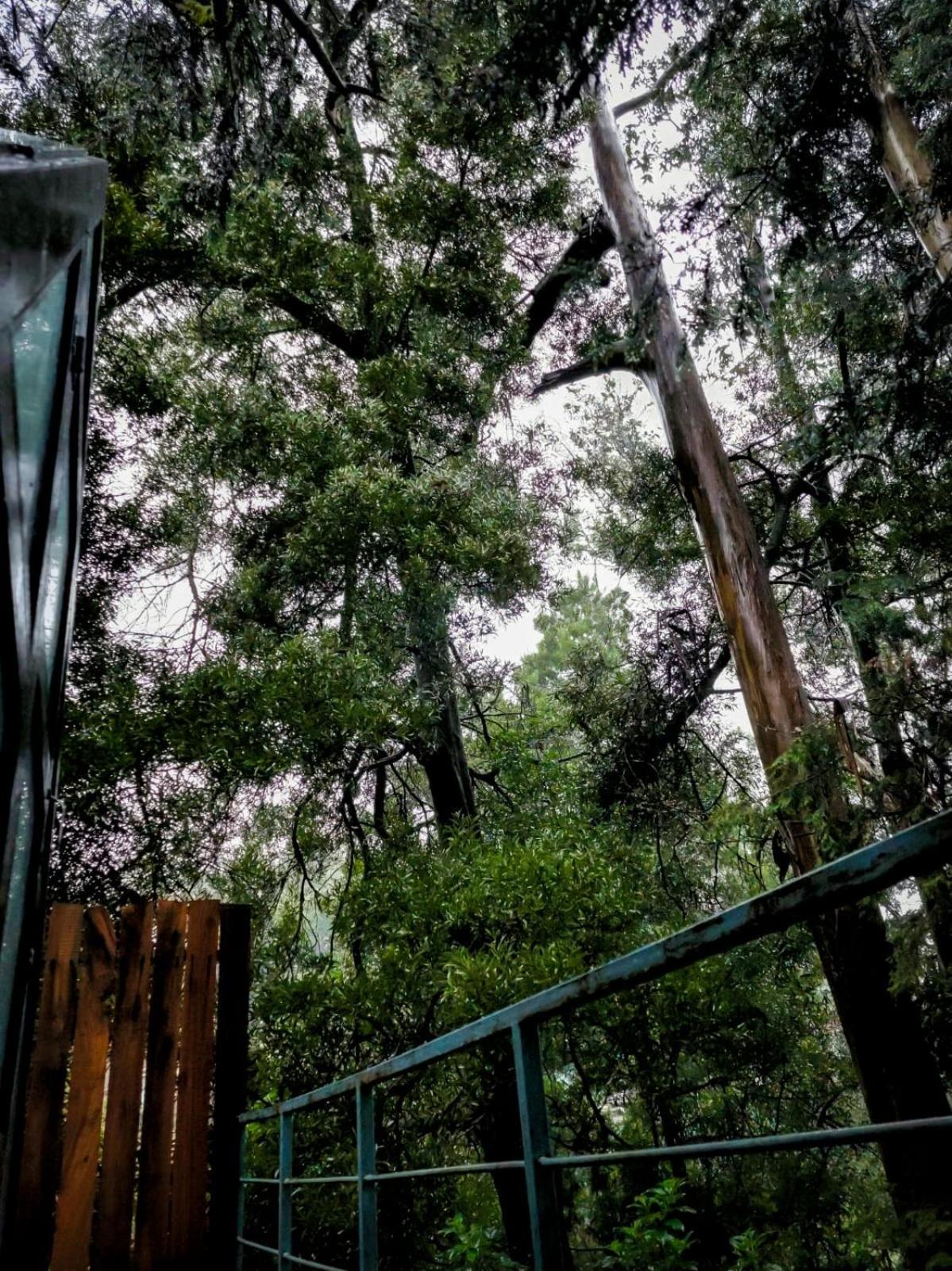 ホテル Woodhouse ウーティ エクステリア 写真